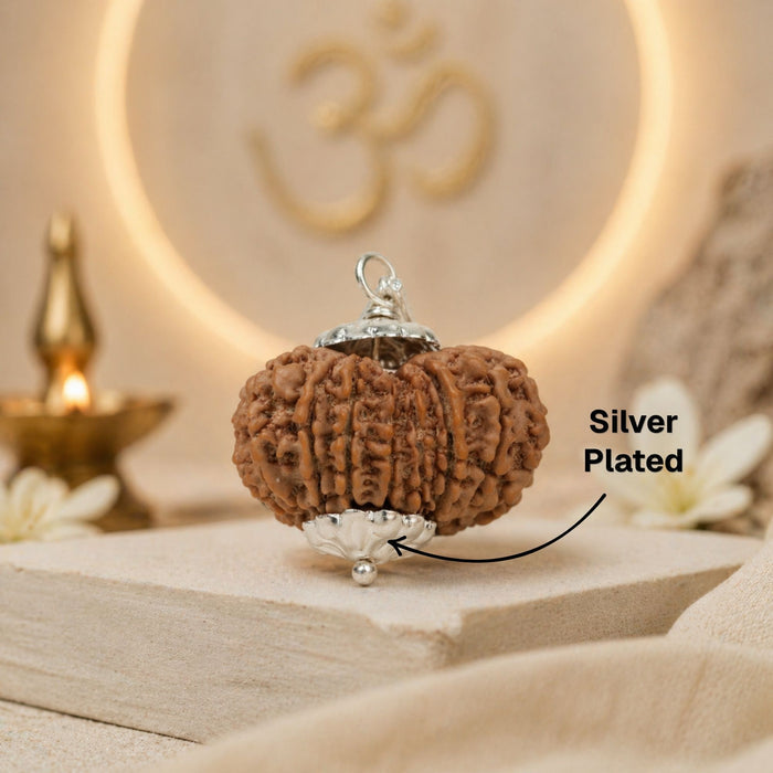 13 Mukhi Nepali Rudraksha - Terah Mukhi