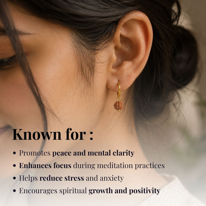 5 Mukhi Rudraksha Hoop Earrings - Pack of 2 Pairs
