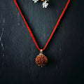 8 Mukhi Nepali Rudraksha - Aath Mukhi