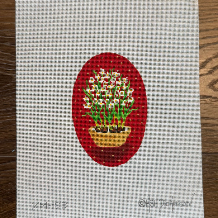 Paperwhites on Red
