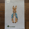 Peter Rabbit - Blue (18 count mesh)