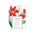 Amaryllis Invitations