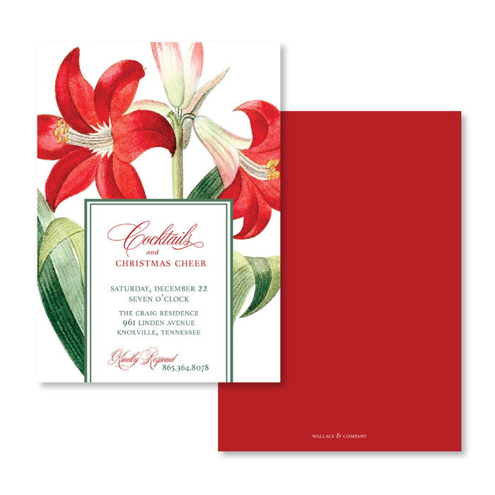 Amaryllis Invitations