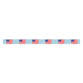 American Flag Strap / Collar