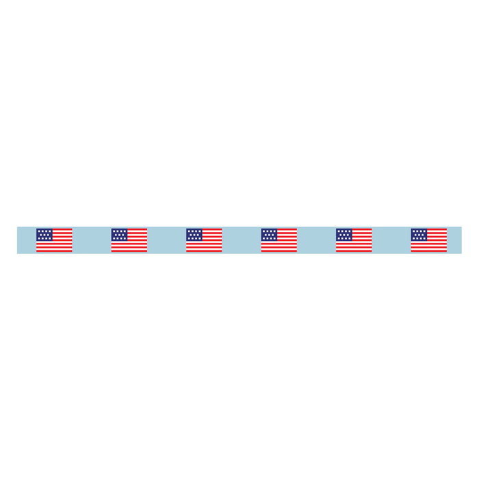 American Flag Strap / Collar