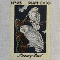 Audubon Snowy Owl