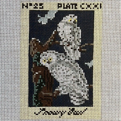Audubon Snowy Owl