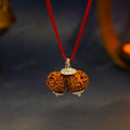 Authentic Gauri Shankar Nepali Rudraksha - Divine unity of Shiva & Shakti