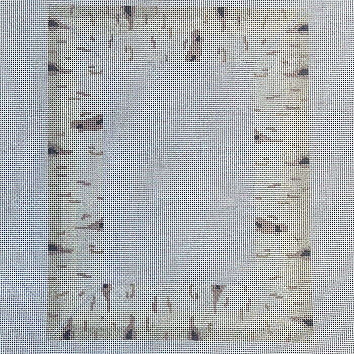 Birch Frame