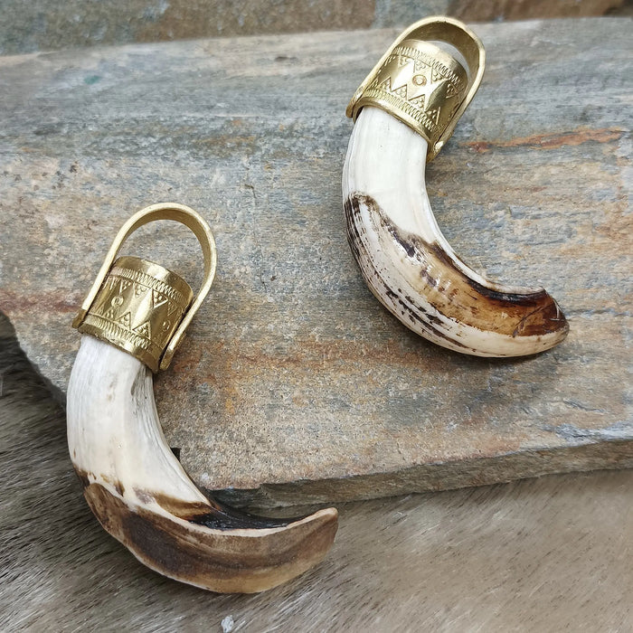 Boar Tusk Pendants with Embossed Bronze Hangers on Rock