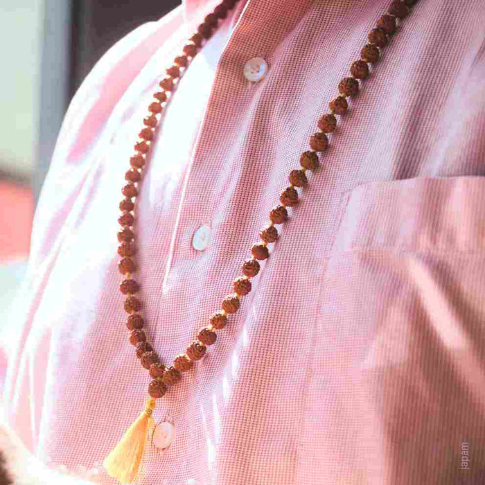 Brown Rudraksha Mala - 108+1 Beads