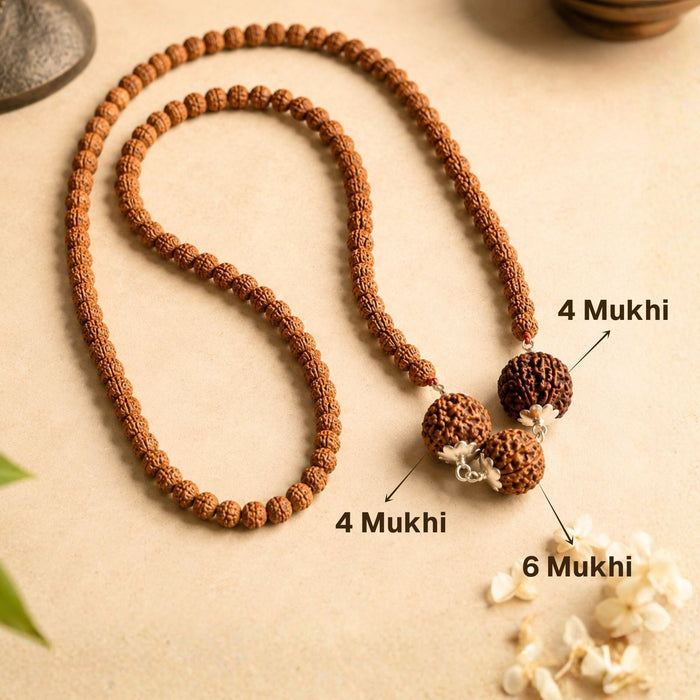 Buddhi Vardhak Kawach Mala with 4 & 6 Mukhi Rudraksha