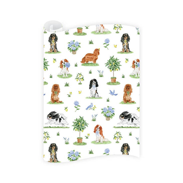 Cavalier Garden Gift Wrap