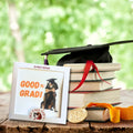 Coonhound Graduation Napkins
