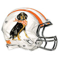 Coonhound Helmet Paper Placemats