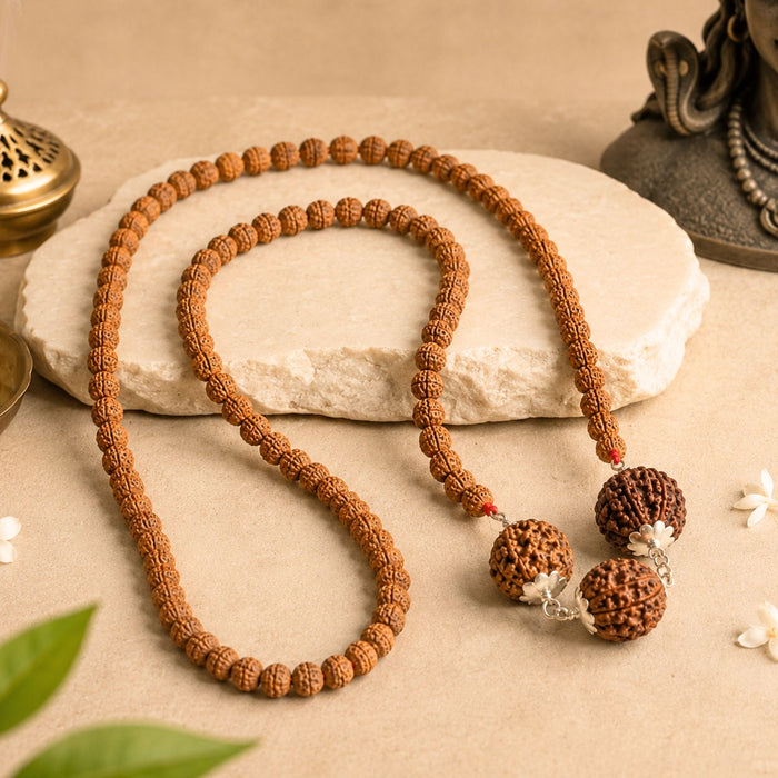 Dhan Sampatti Kawach Mala with 6 & 7 Rudraksha