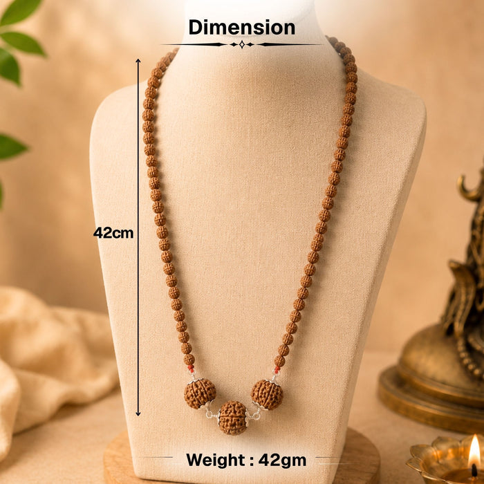Dhan Sampatti Kawach Mala with 6 & 7 Rudraksha