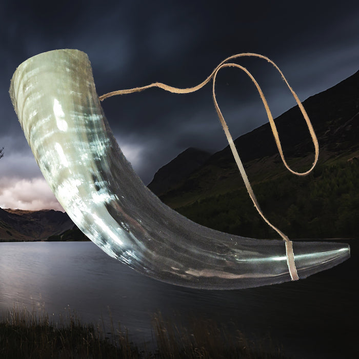 Extra Large Viking Polished Blowing Horn / Bugle - Viking Signal Horn