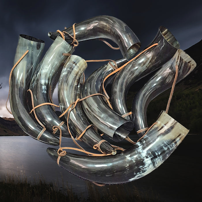 Extra Large Viking Polished Blowing Horns / Bugles - Viking Signal Horns