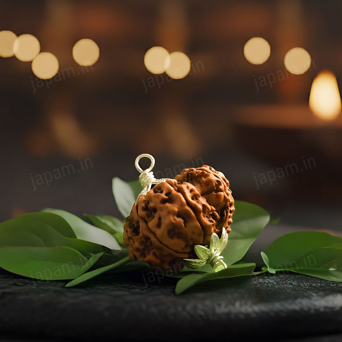 Garbh Gauri Rudraksha