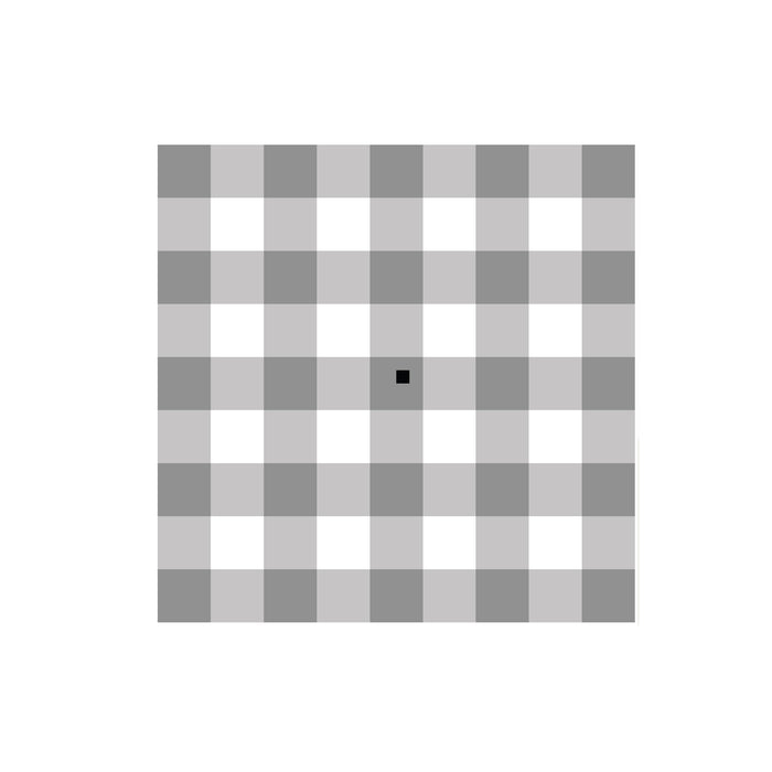 Gingham (All Colors)