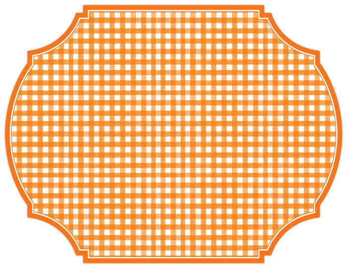 Gingham Orange Paper Placemats