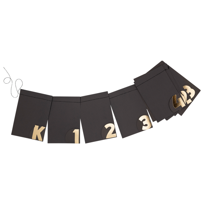 Graduation Photo Banner