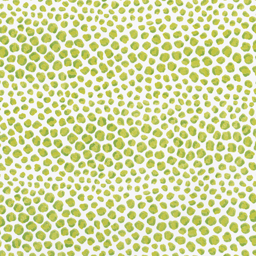 Just Spots Lime Gift Wrap