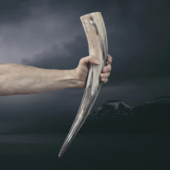 Long and Slender Polished Viking Drinking Horn in Stretched Arm