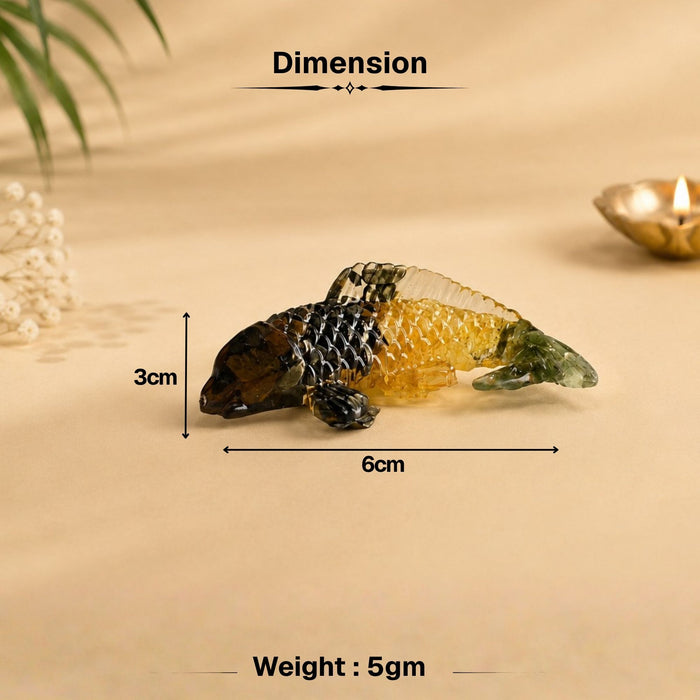 Money Magnet Feng Shui Fish