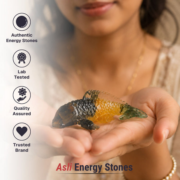 Money Magnet Feng Shui Fish
