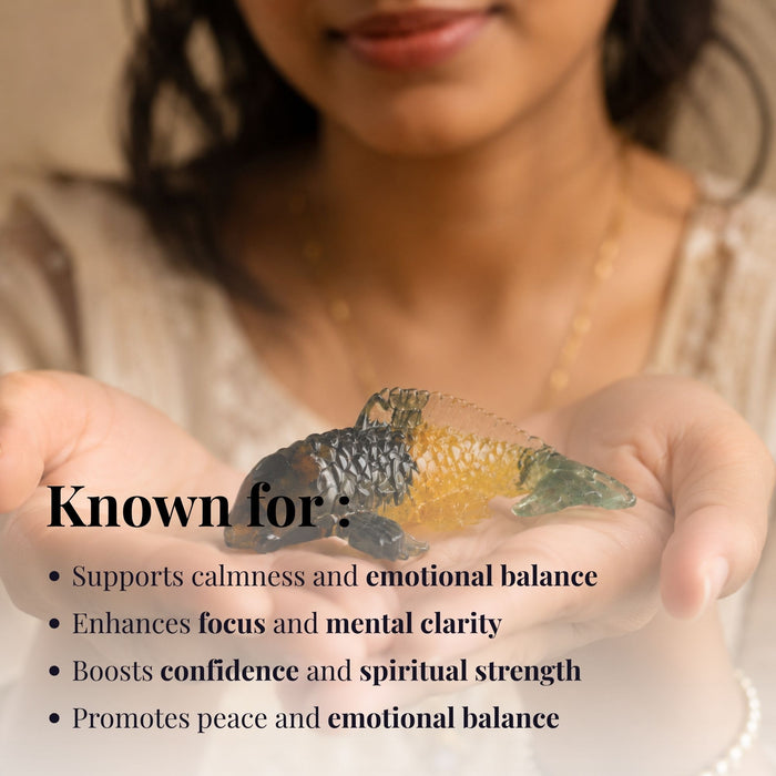 Money Magnet Feng Shui Fish