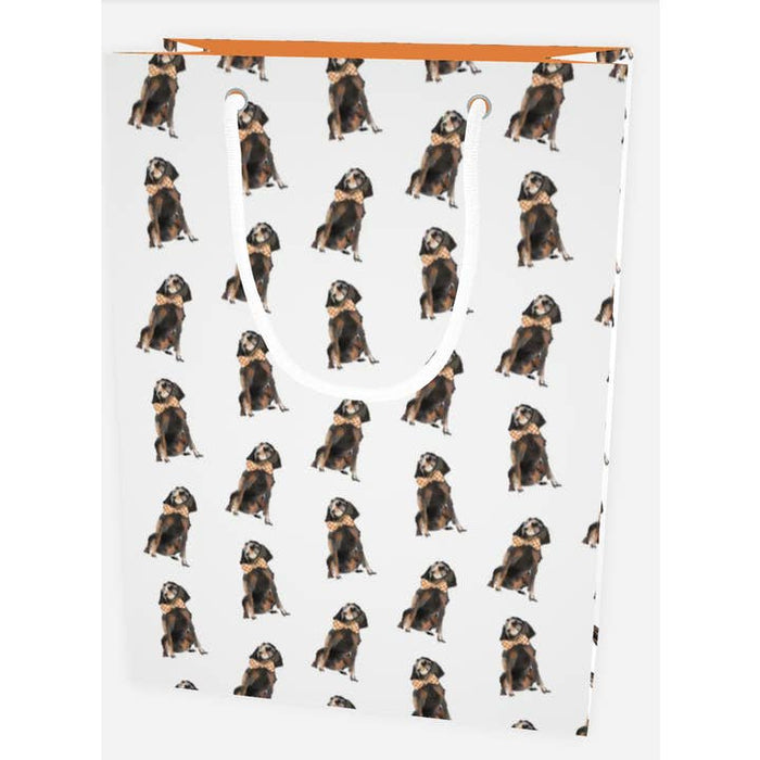 Multi Coonhound Gift Bag