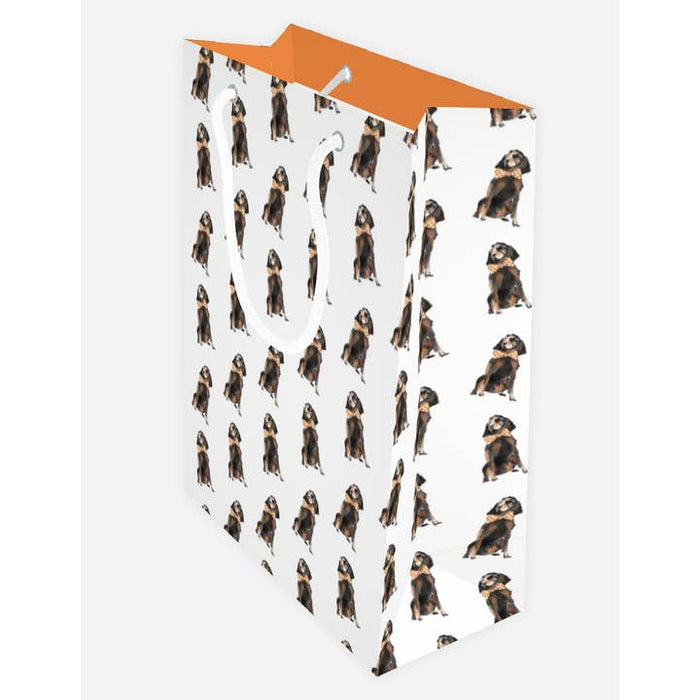 Multi Coonhound Gift Bag