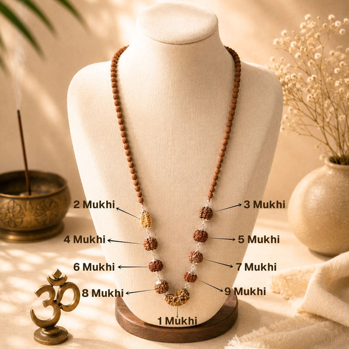 Navgrah Raksha Kavach Mala with 1-9 Mukhi Rudraksha