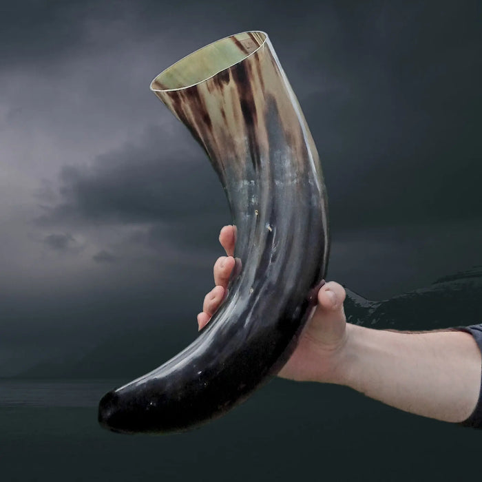 Ox Horn Polished Viking Drinking Horn in Hand - Huge
