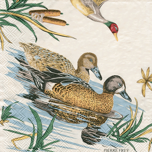 Solonge Cocktail Napkins