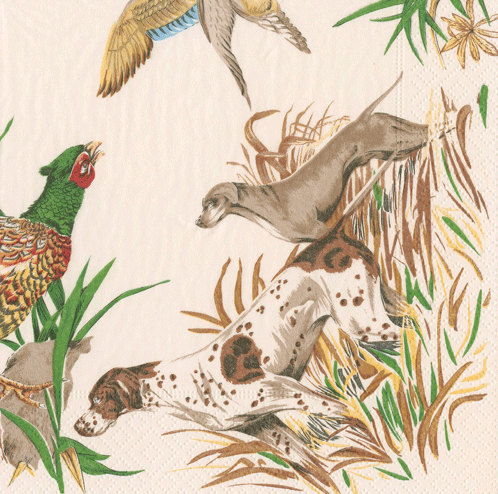 Solonge Luncheon Napkins