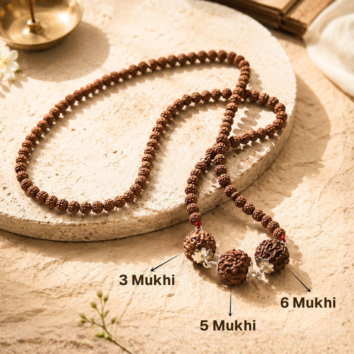Swasth Kawach Mala with 3,5,6 Rudraksha