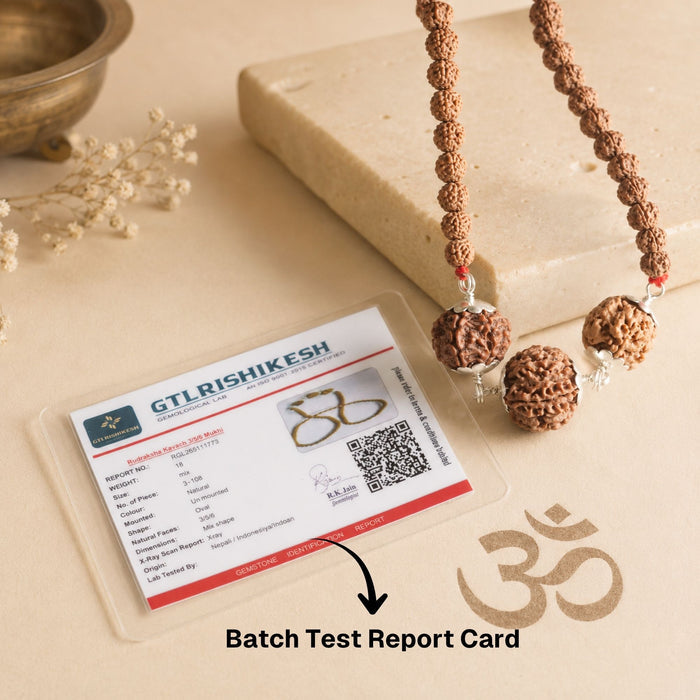 Swasth Kawach Mala with 3,5,6 Rudraksha