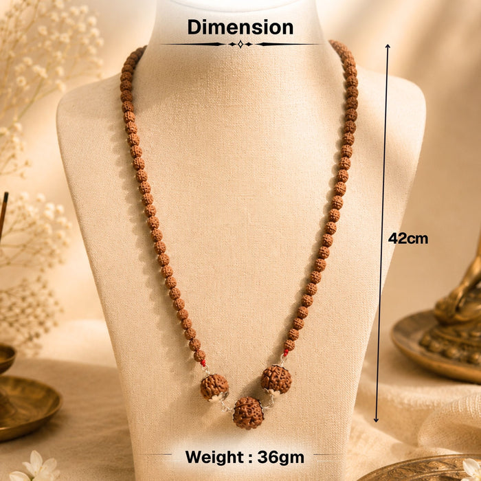 Swasth Kawach Mala with 3,5,6 Rudraksha