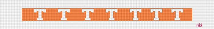 Tennessee Orange Belt