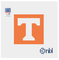 Tennessee Orange Mini Square