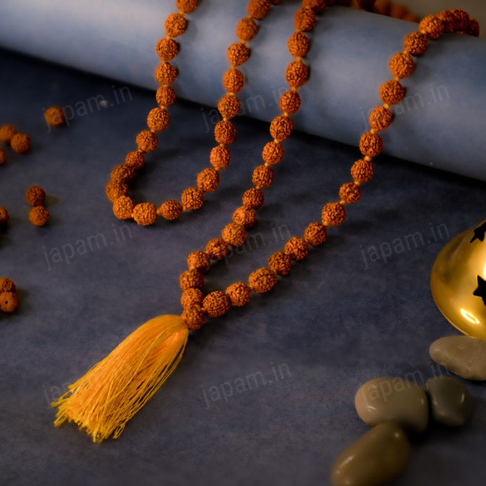 Ultimate Rudraksha Power Combo