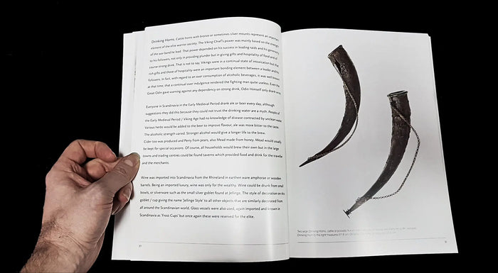 Vikings - Swords Dripping Gold - Silver - Blood - Book - Inside