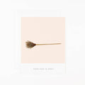 Witches Broom